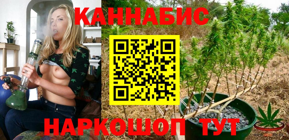 Каннабис сатива Рославль